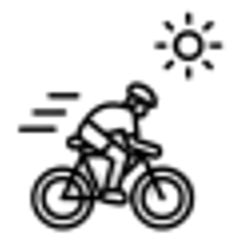 Icon Bike